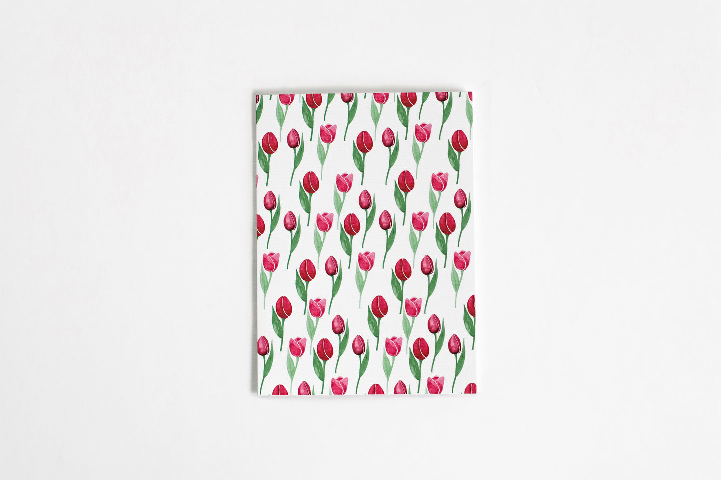 Multi-Coloured Tulips
